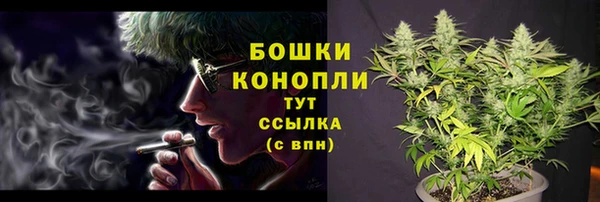 альфа пвп Куйбышев