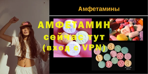 прущие грибы Кострома