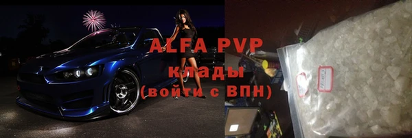 прущие грибы Кострома