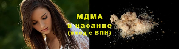 прущие грибы Кострома