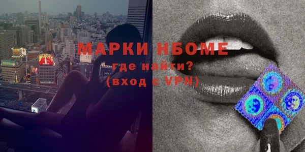 прущие грибы Кострома