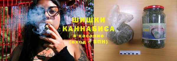прущие грибы Кострома